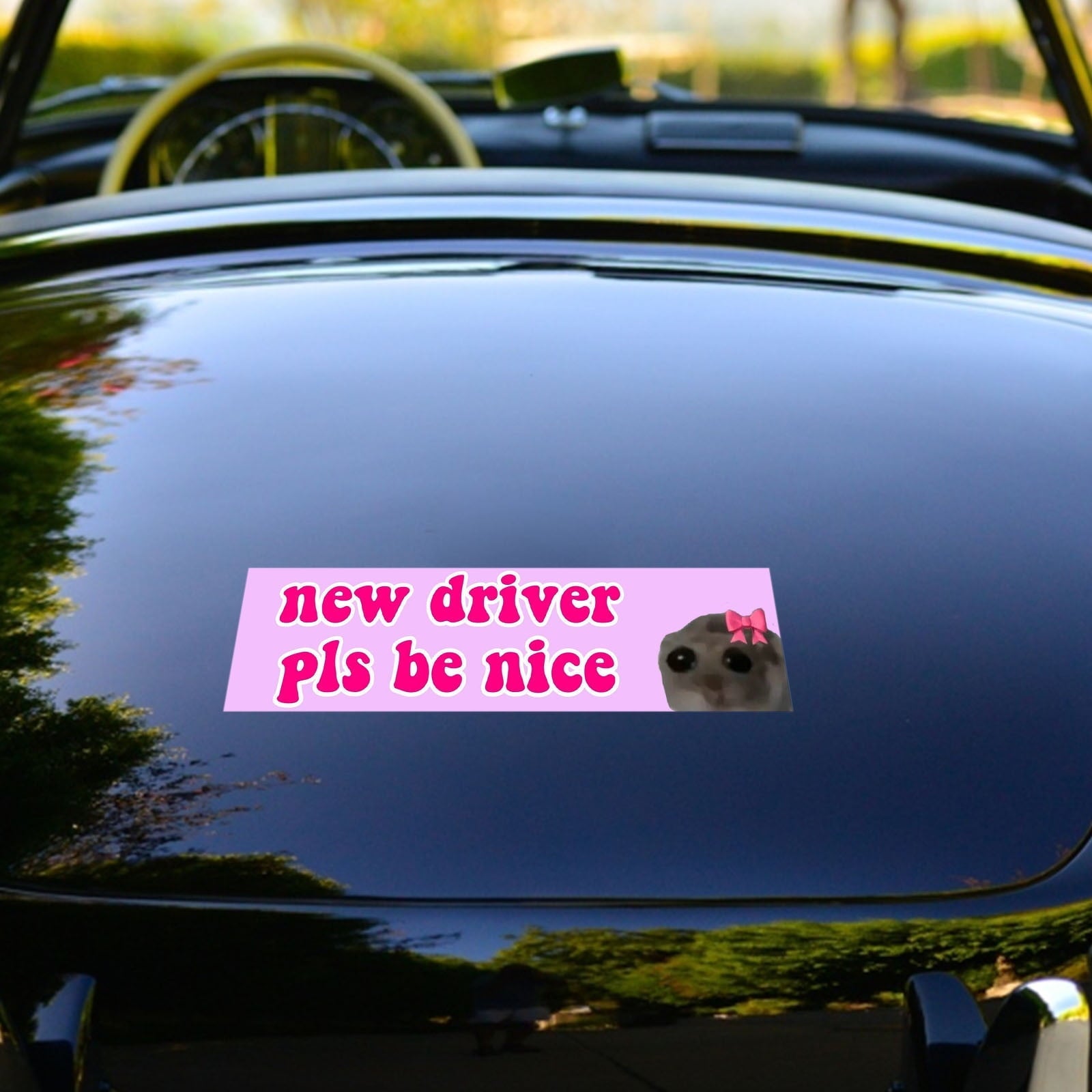 Funny Car Magnet Stickers - New Driver Pls Be Nice